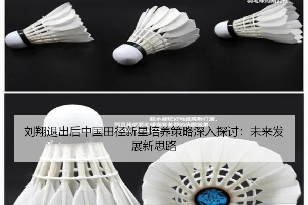 刘翔退出后中国田径新星培养策略深入探讨：未来发展新思路
