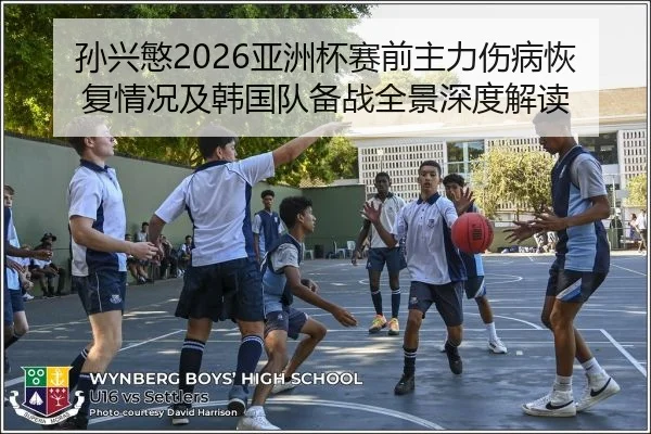 孙兴慜2026亚洲杯赛前主力伤病恢复情况及韩国队备战全景深度解读